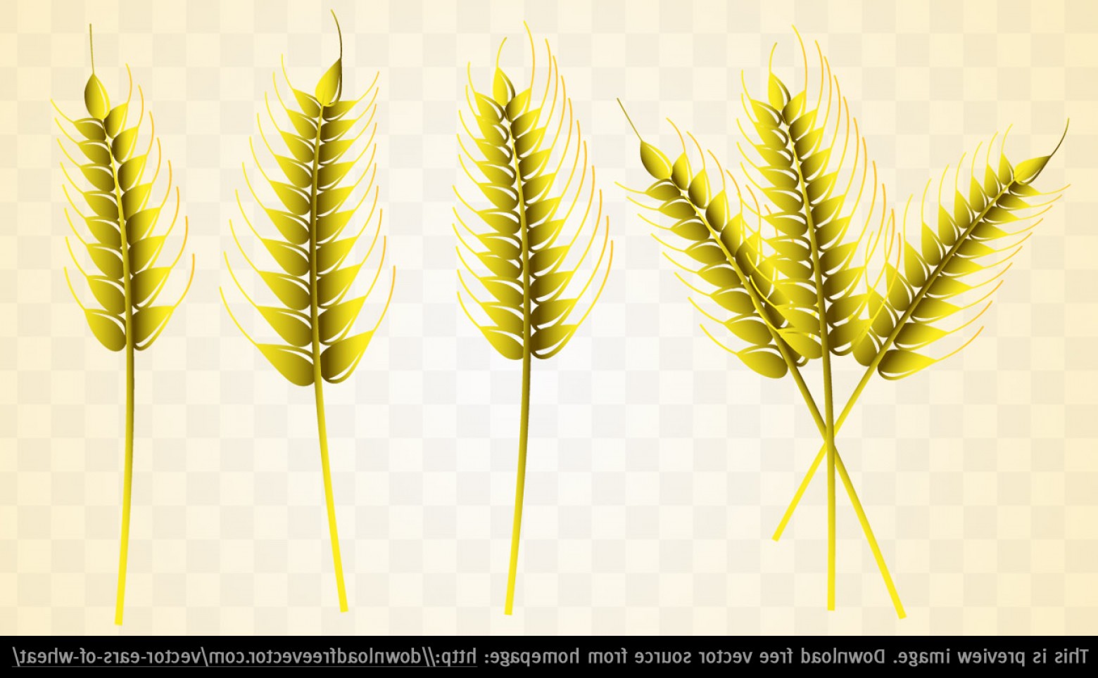 1560x964 Ear Of Wheat Vector Art Free Createmepink