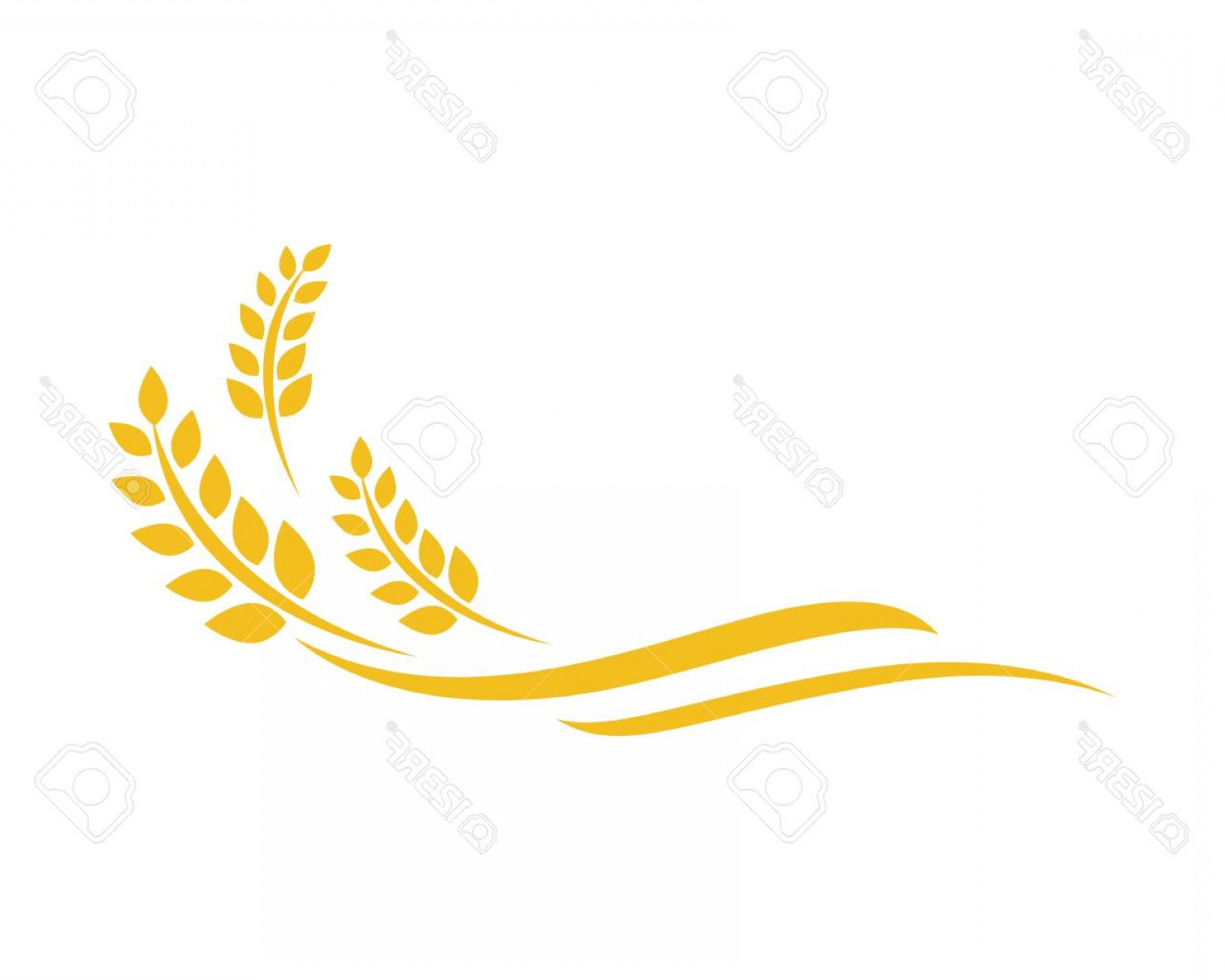 1560x1248 Photostock Vector Agriculture Wheat Logo Template Vector Icon
