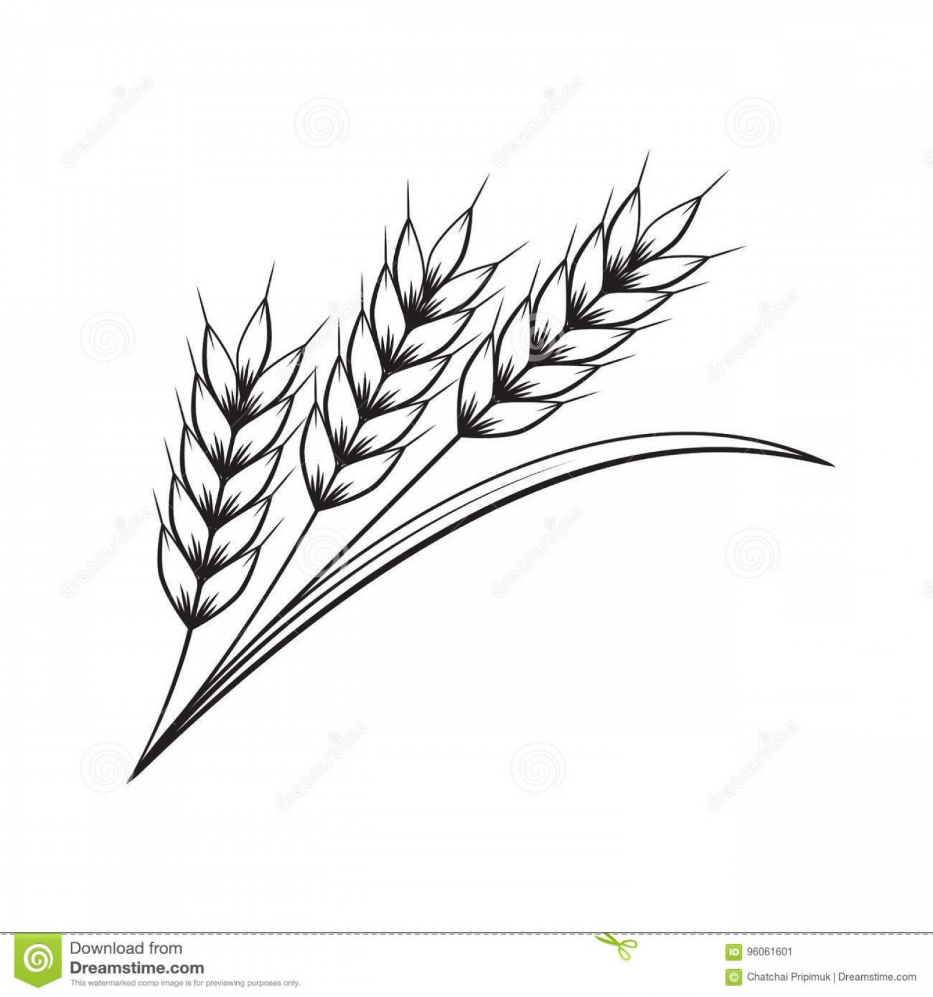 1872x2001 Stock Illustration Graphic Wheat Vector Illustration White