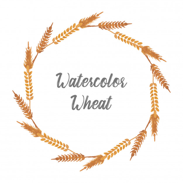 626x626 Simple Wheat Watercolor Wreath Vector Premium Download