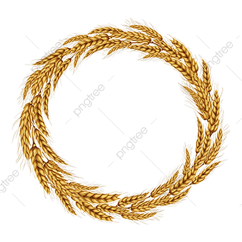 800x800 Vector Illustration Of A Wreath Of Wheat Spikelets, Wheat, Barley