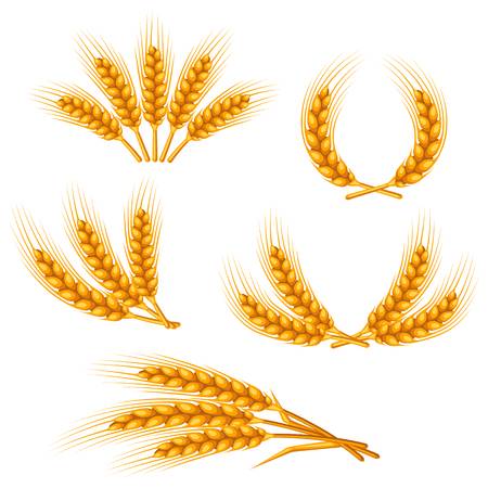 450x450 Wheat Wreath Clipart