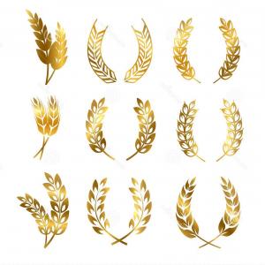 300x300 Golden Rye Wheat Ears Wreaths Vector Elements Bread Beer Labels