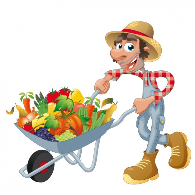 626x626 Wheelbarrow Vectors, Photos And Free Download