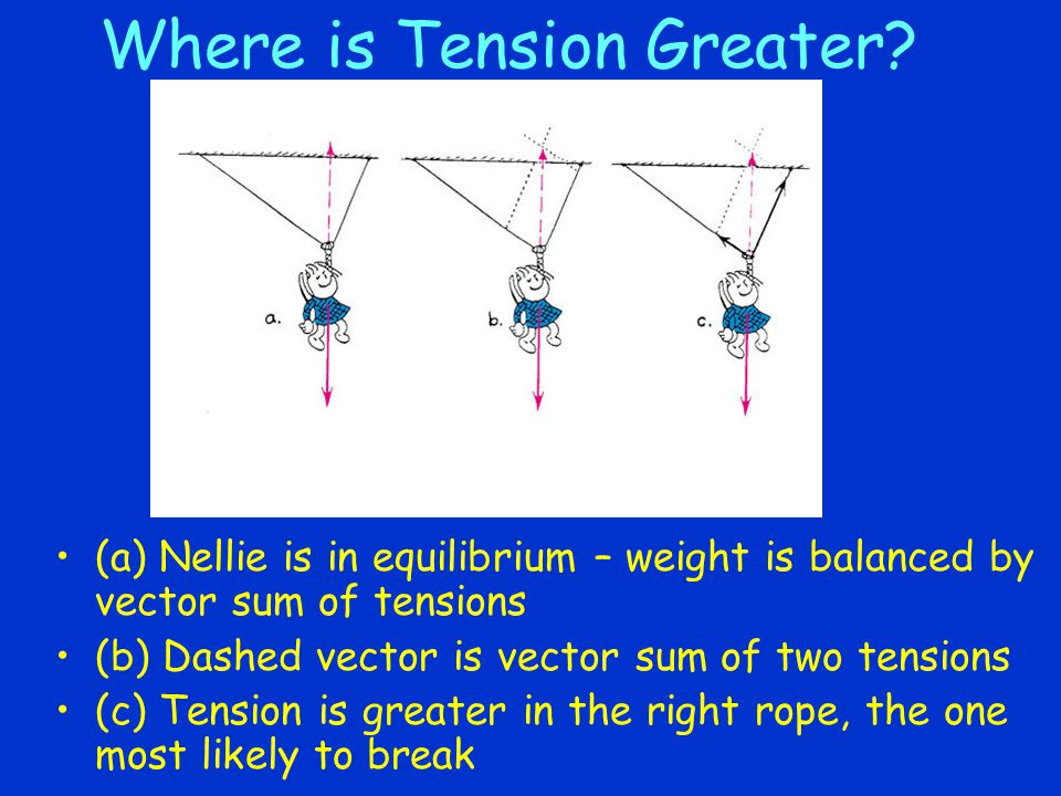 960x720 Newton Vectors