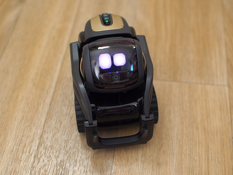 800x600 Anki Vector Review