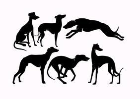 282x200 Vector Whippet Dogs Silhouettes Whippets Dog Silhouette