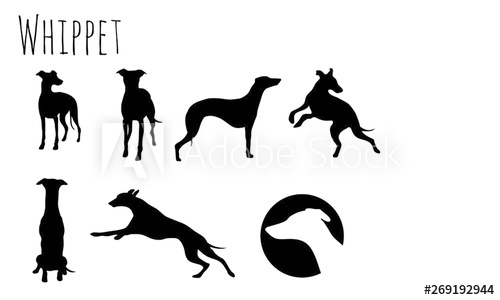500x300 Whippet Icon