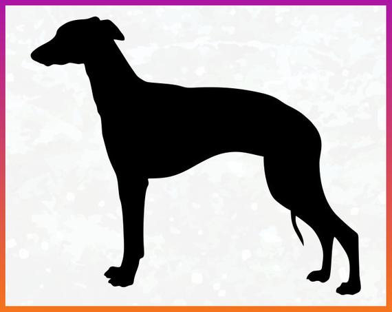 570x453 Whippet Whippet Silhouette Vector Iron On Etsy