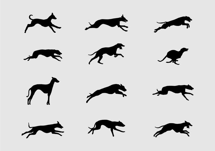 700x490 Whippet Silhouette