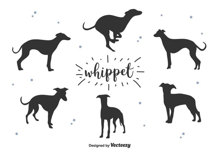 700x490 Whippet Silhouette Vector