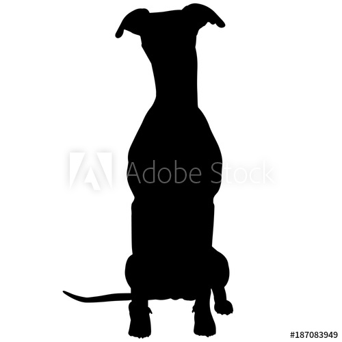 500x500 Whippet Silhouette Vector Graphics