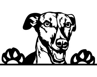 340x270 Whippet Vector Images In Collection