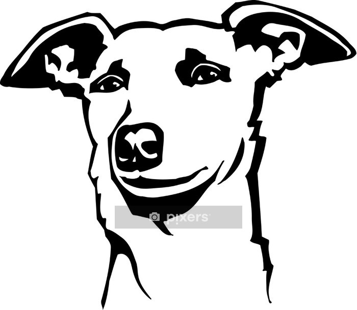 700x609 Whippet Vinyl Ready Vector Illustration Wall Decal