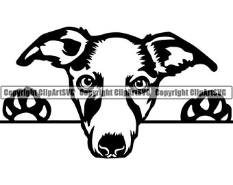 340x270 Whippet Clipart Etsy