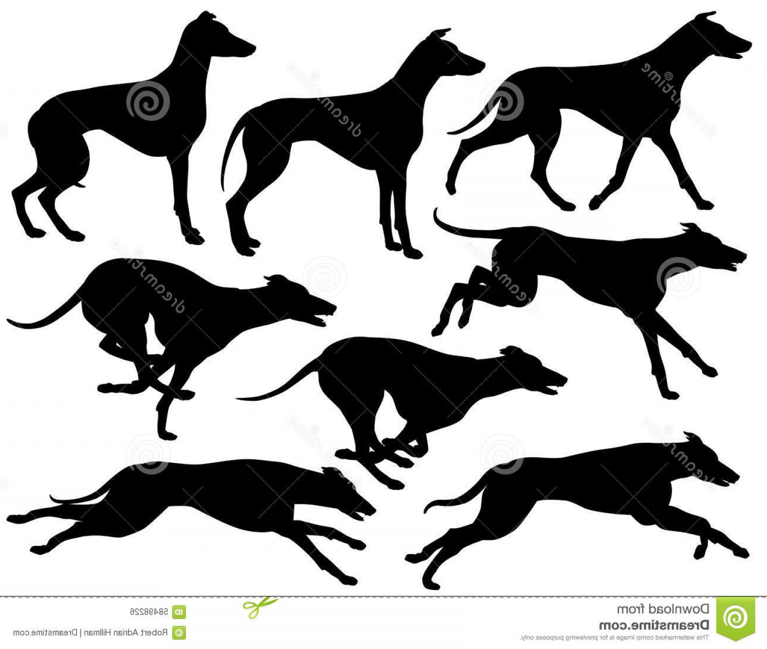 Whippet Vector at Vectorified.com | Collection of Whippet Vector free ...