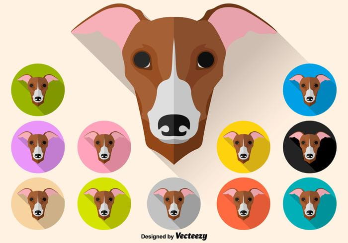 700x490 Vector Color Set Of Whippet Dog Icon Free Graphics