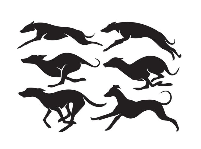 660x490 Vector High Quality Whippet Dogs Silhouettes