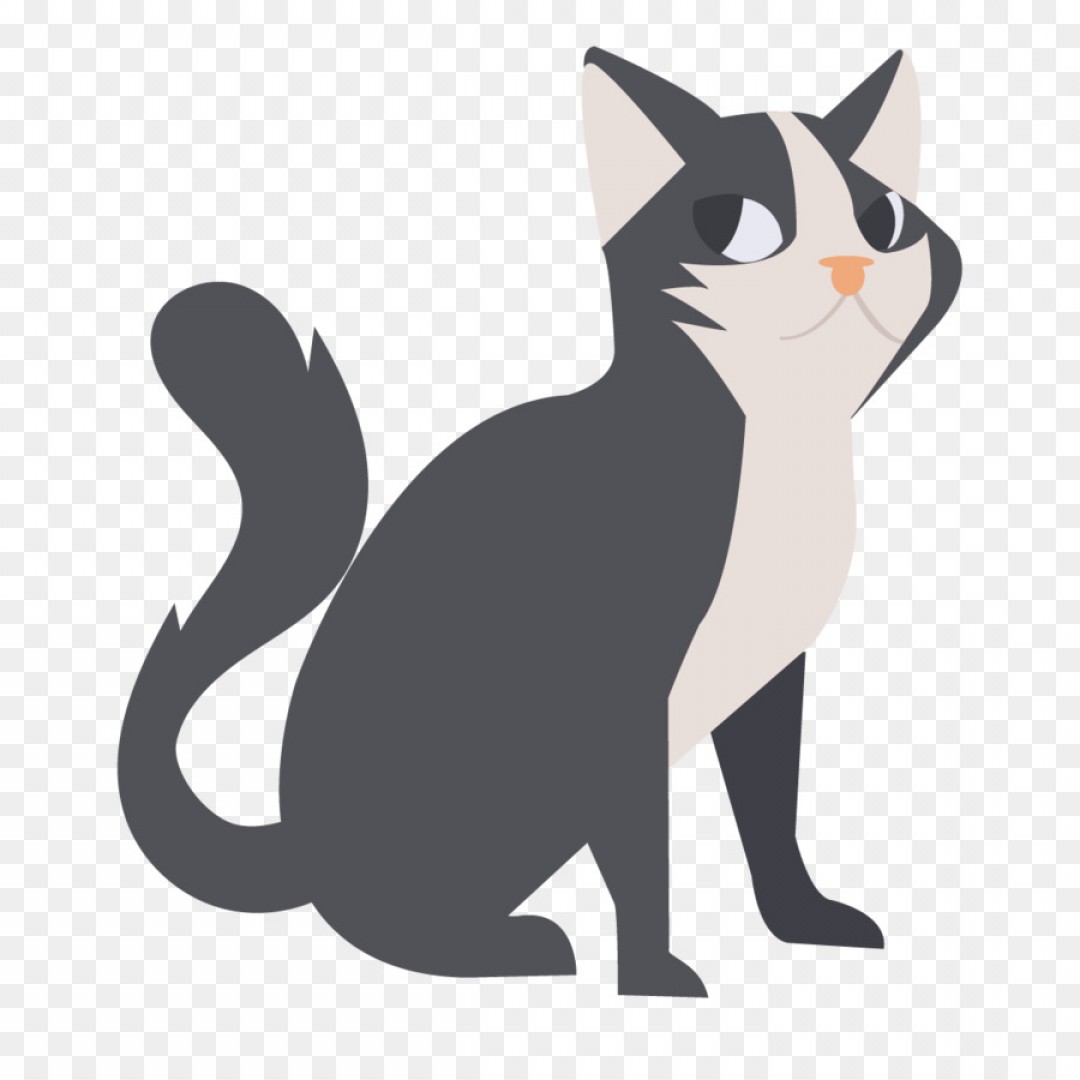 1080x1080 Png Cat Breed Kitten Vector Gray Kitten Hoodamathrun