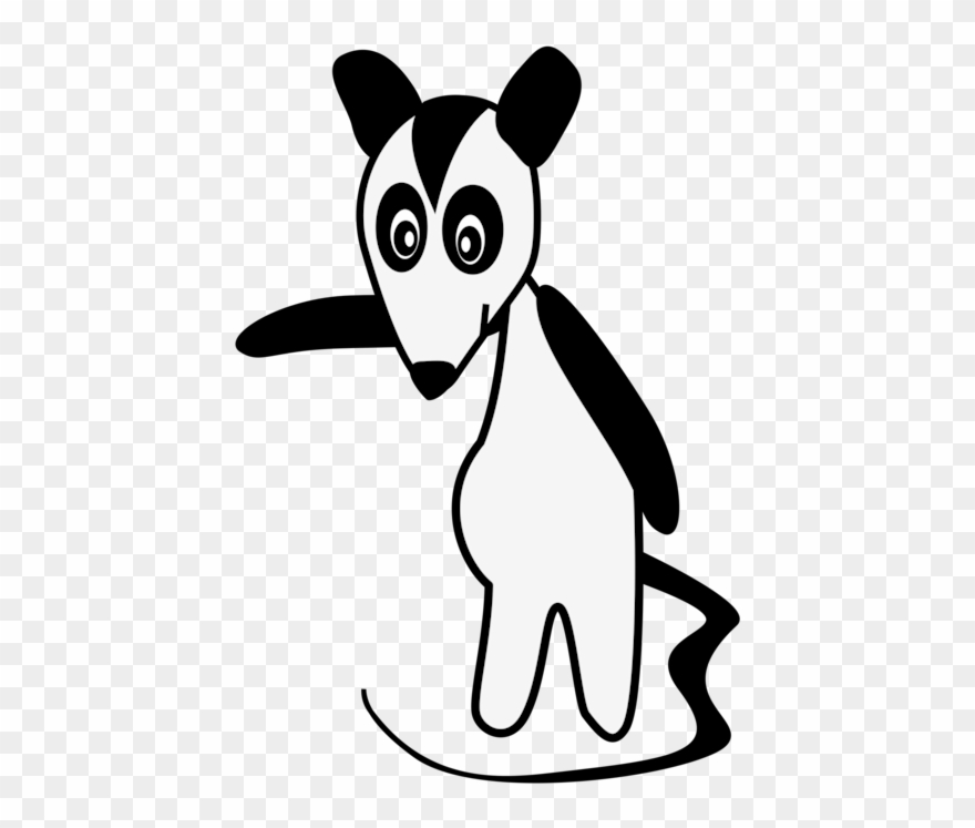 880x747 Whiskers Big Eared Opossum Cat Drawing