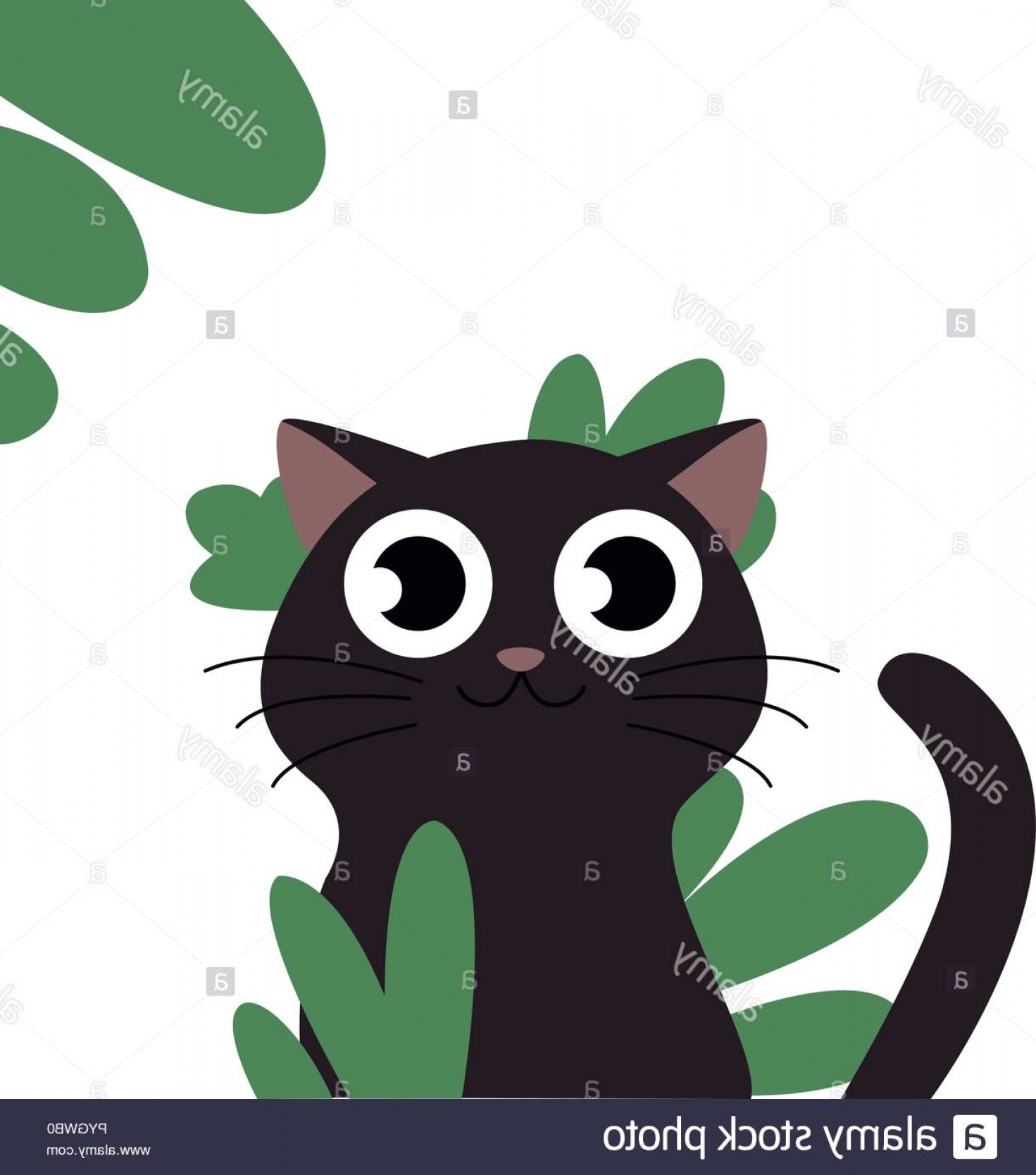 Whiskers Vector at Vectorified.com | Collection of Whiskers Vector free