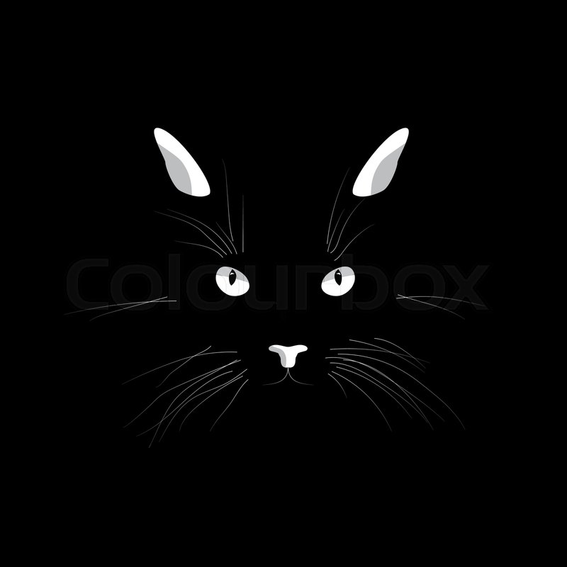 800x800 Cat's Face In The Dark Vector Cat's Stock Vector Colourbox