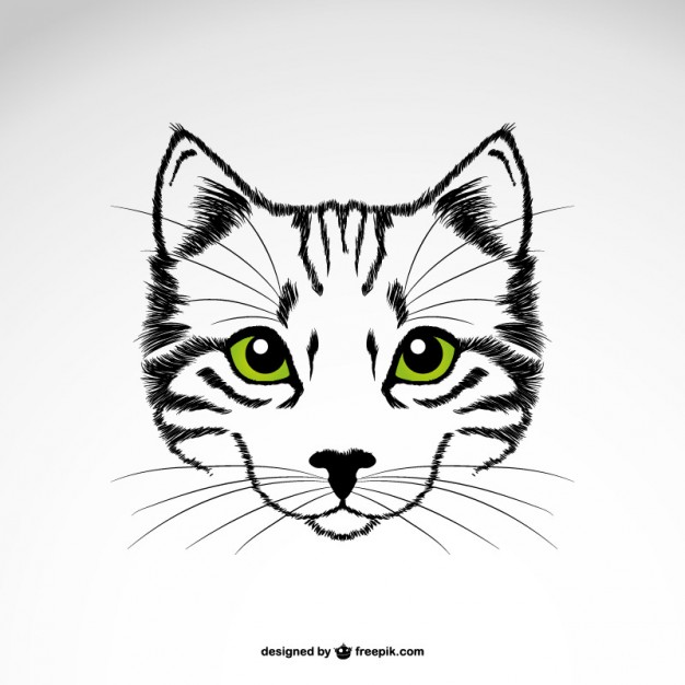 Download Whiskers Vector at Vectorified.com | Collection of ...
