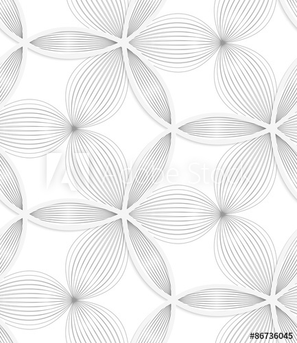 White Circle Vector