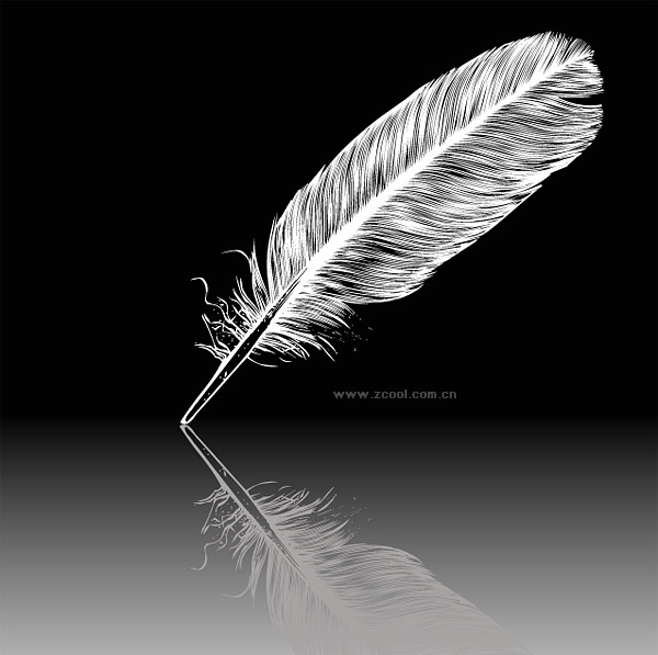 White Feather Vector