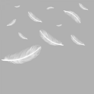 White Feather Vector at Vectorified.com | Collection of White Feather ...