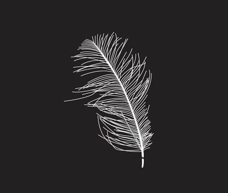 Free Feather Vector 450x381 Free Feather Vector