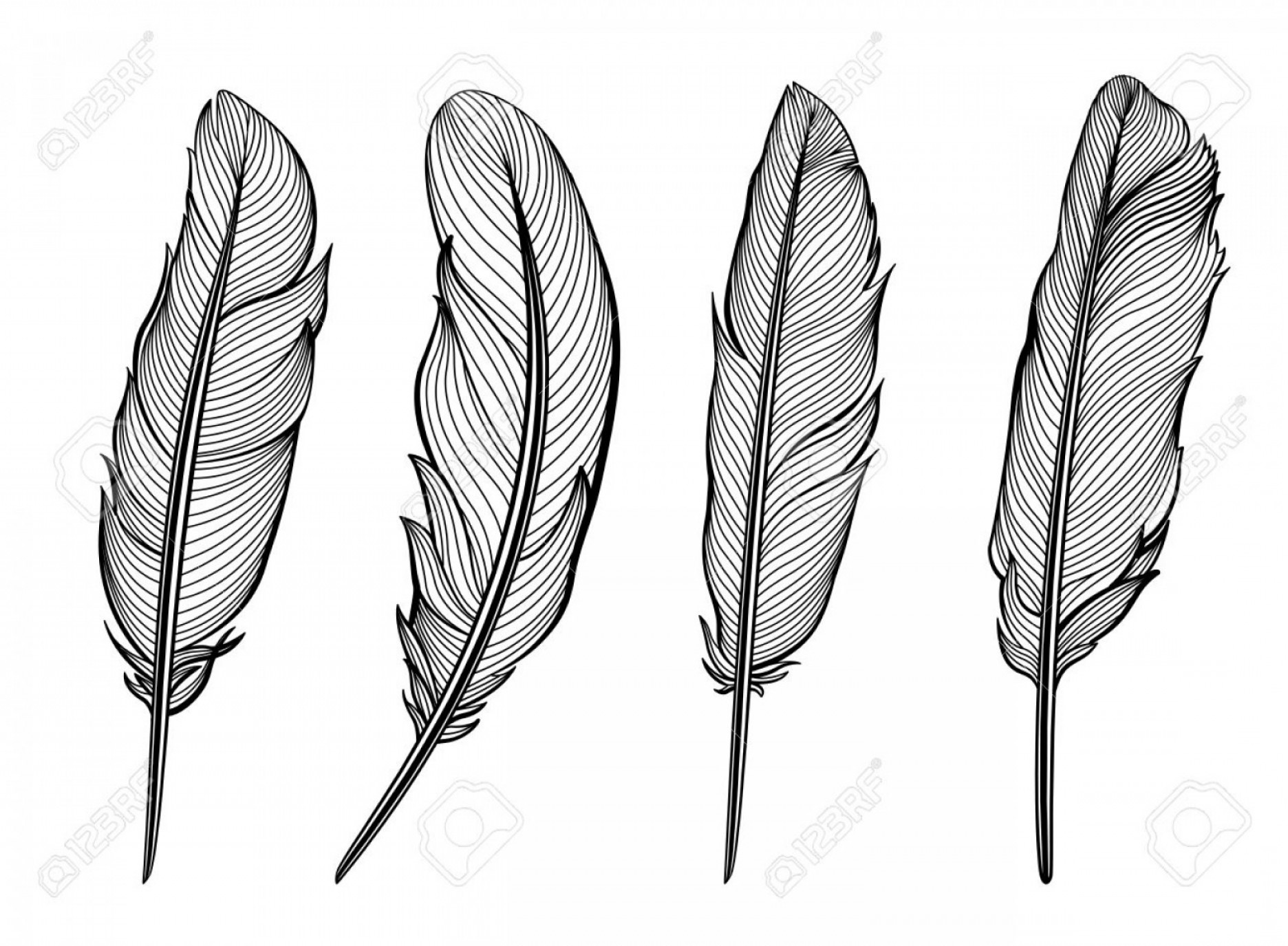 White Feather Vector at Vectorified.com | Collection of White Feather ...