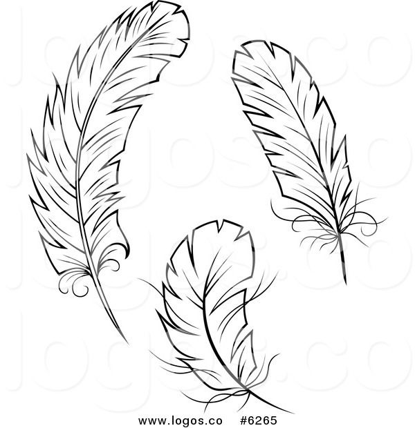 Royalty Free Clip Art Vector Logos Of Black And White Feathers 600x620 Royalty Free Clip Art Vector Logos Of Black And White Feathers