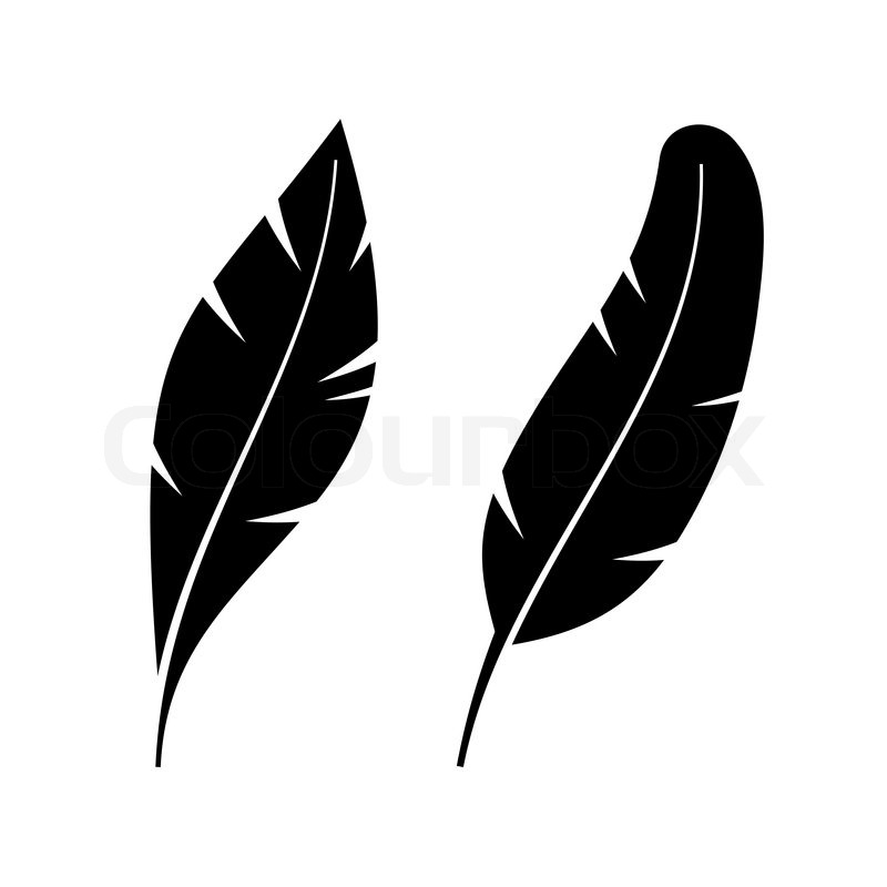 Two Icon Style Feathers On White Stock Vector Colourbox 800x800 Two Icon Style Feathers On White Stock Vector Colourbox