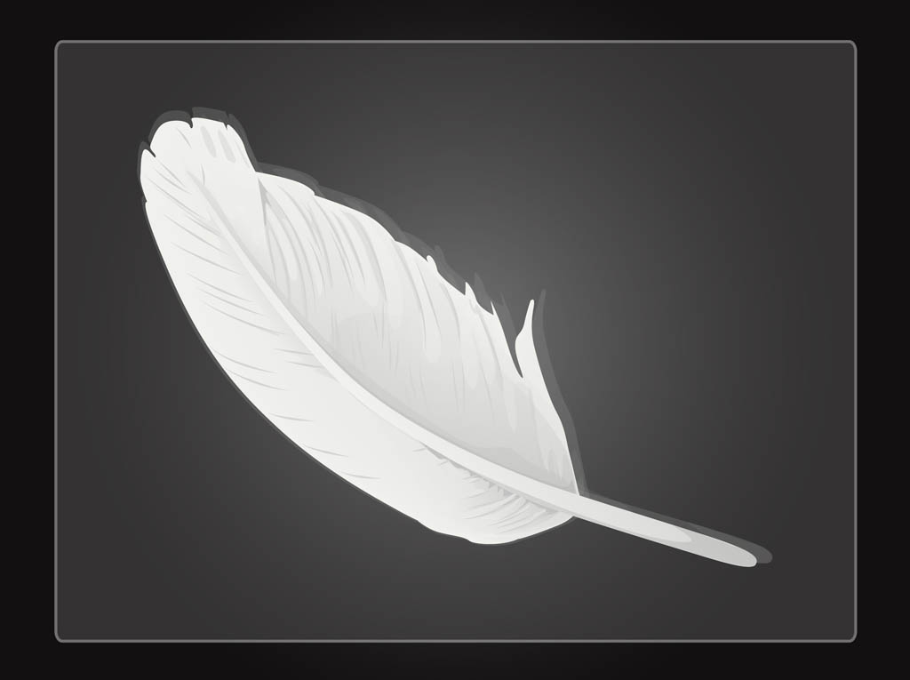 White Feather Vector at Vectorified.com | Collection of White Feather ...