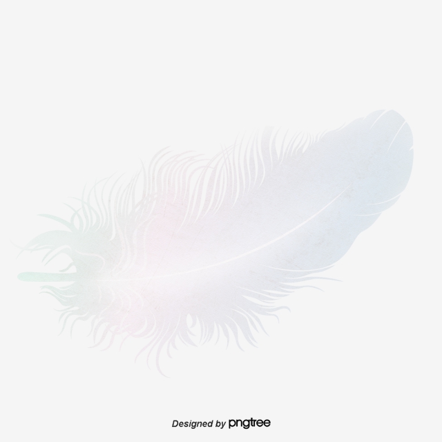 White Feathers, White, Feather, Elegant Png And Vector 640x640 White Feathers, White, Feather, Elegant Png And Vector