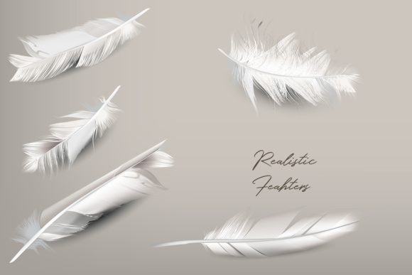 White Feather Vector Realistic Clipart Graphic 580x387 White Feather Vector Realistic Clipart Graphic