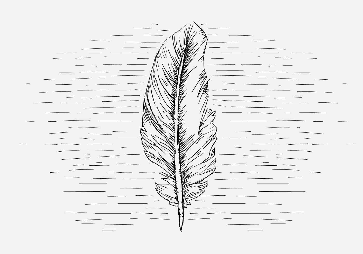 Feather Free Vector Art 1400x980 Feather Free Vector Art