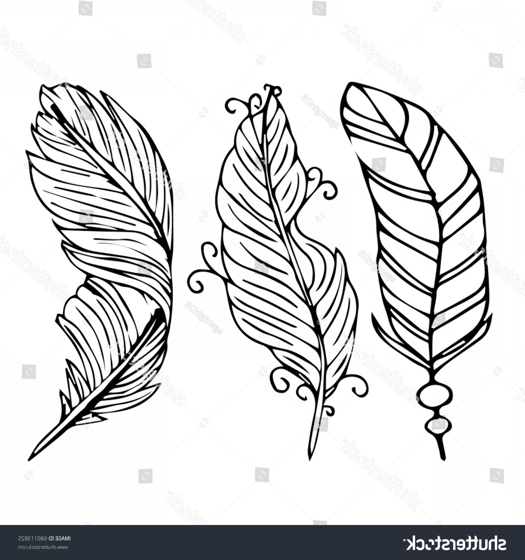 White Feather Vector at Vectorified.com | Collection of White Feather ...