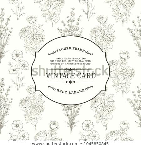 450x470 White Flowers Frame Vector