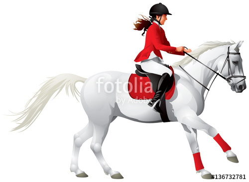 500x367 Equestrian Sport White Horse And Girl In Red Equestrian Costume