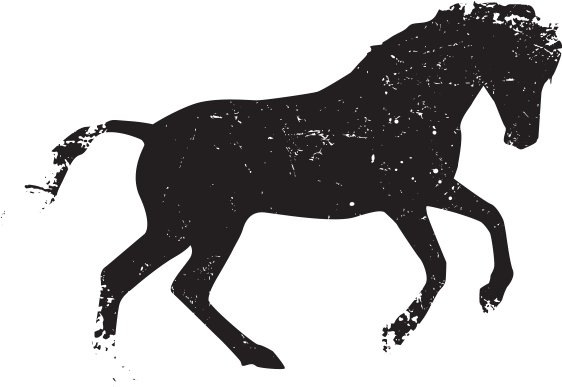 562x387 Hd Wild Horse Png