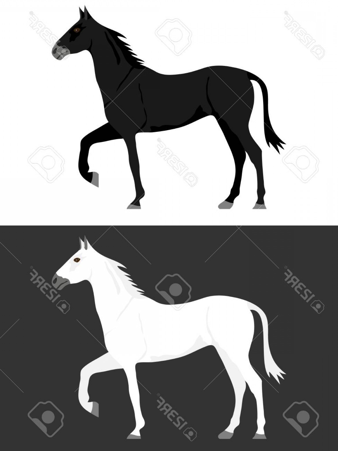1170x1560 Photostock Vector Horse Black And White Horse Two Horses Flat