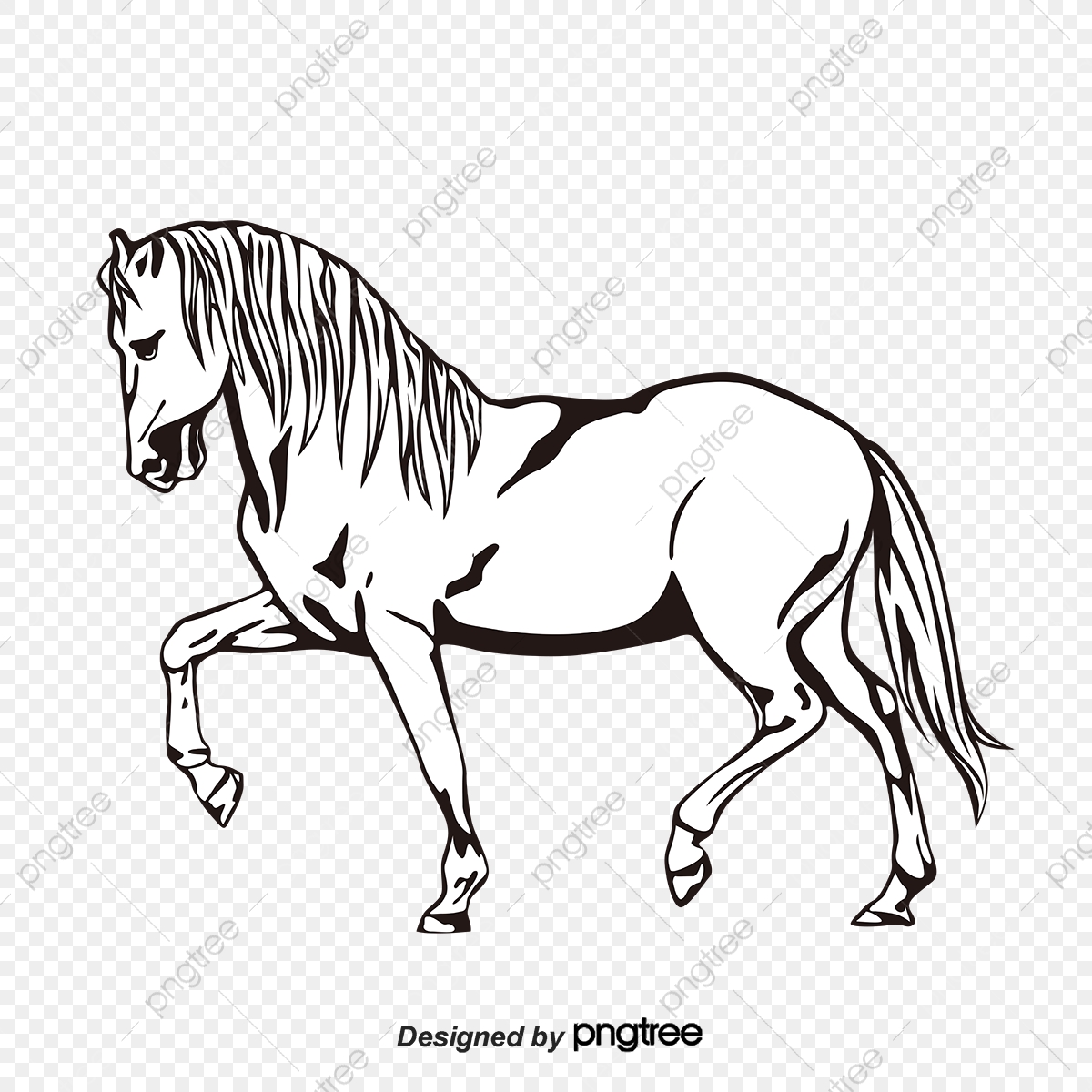 1200x1200 Silhouette Of Black And White Horse, Silhouette, Animal