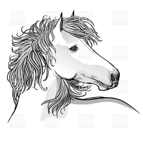 500x500 Sketch Of Hand Drawn Horse Vector Image Of Plants And Animals