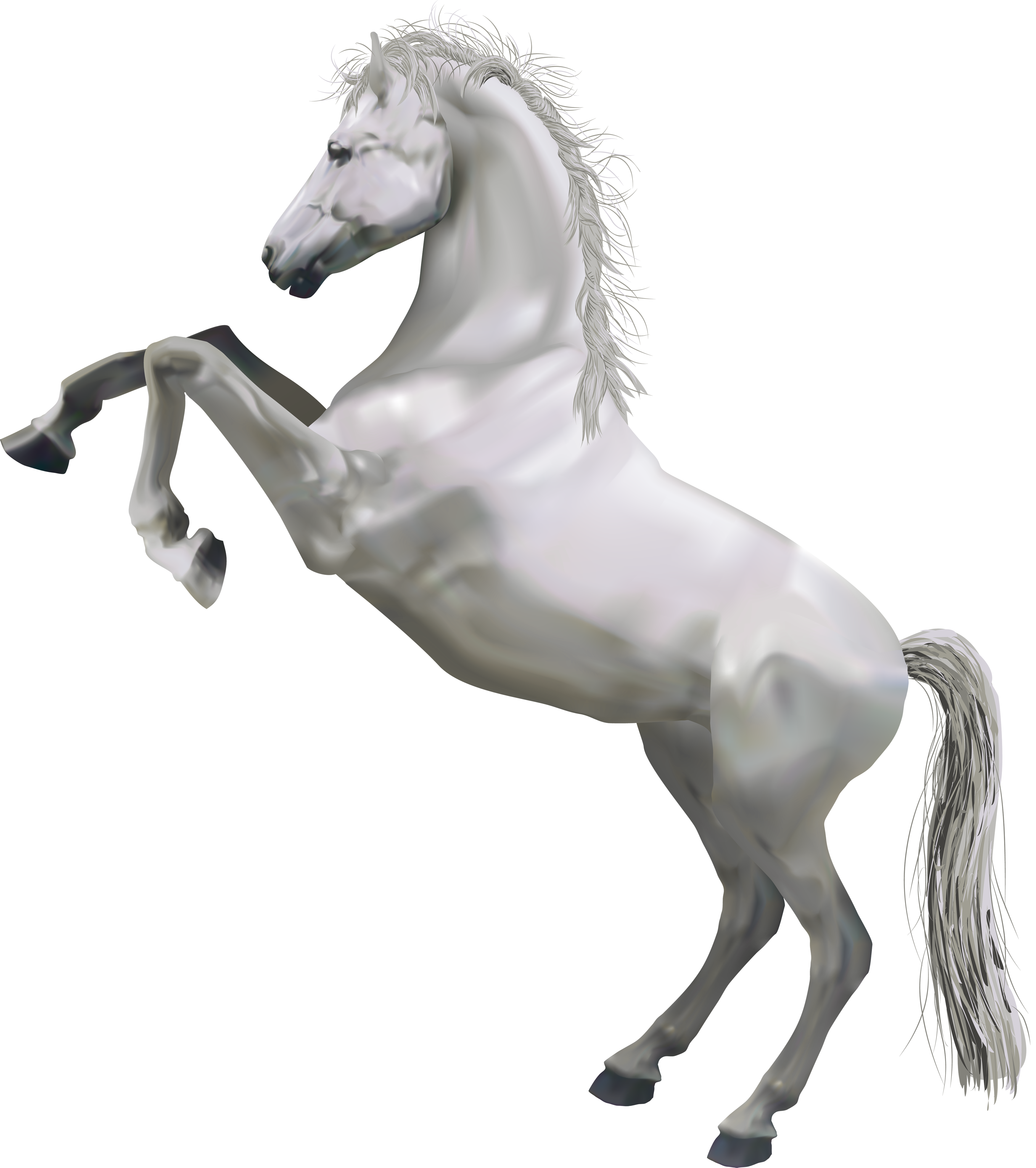 3500x3943 Transparent White Horse Free Clipart Horses, Cute Animals