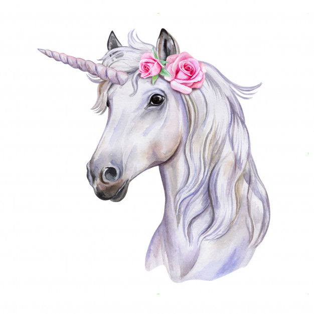 626x626 Unicorn With A Wreath Of Flowers White Horse Portrait