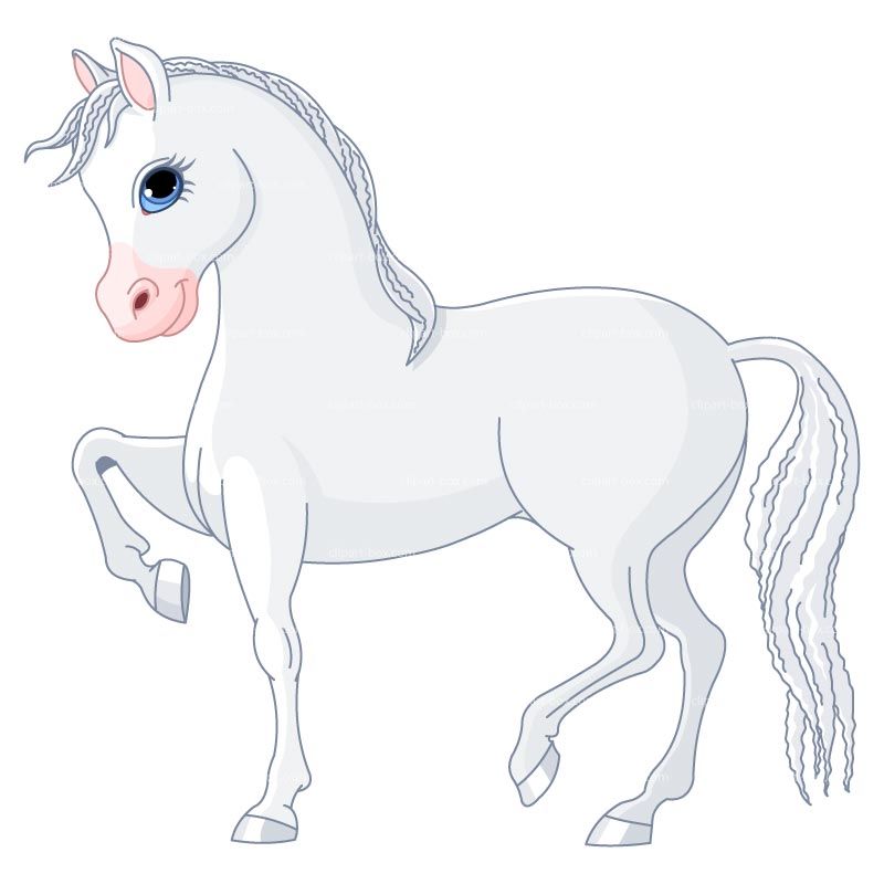 800x800 Images Of Horse Drawings Clipart White Horse