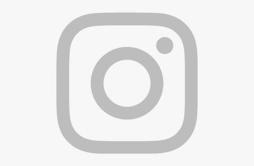 instagram icon white vector