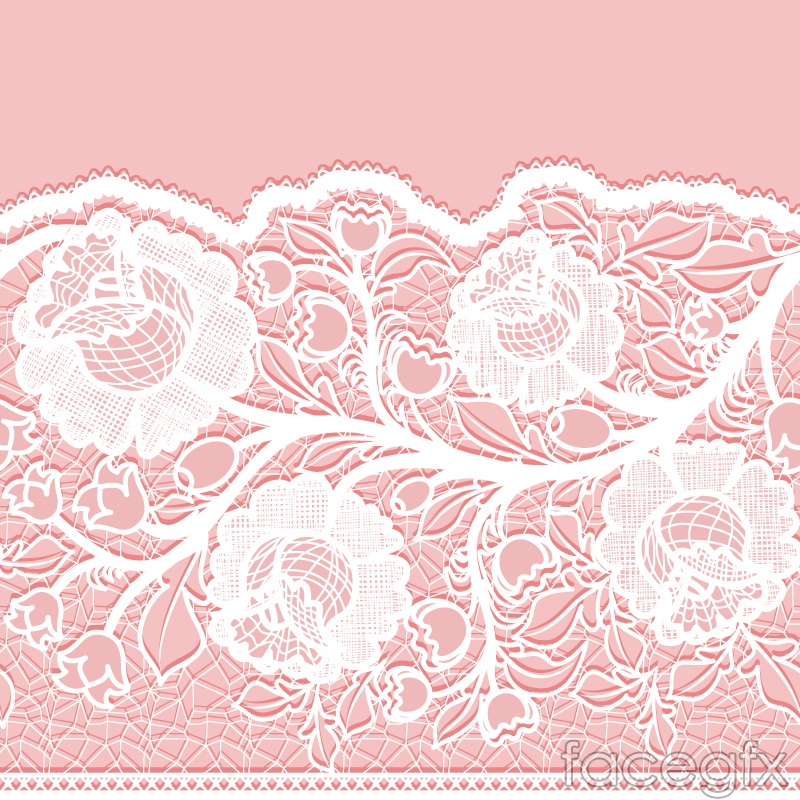 800x800 White Lace Flowers Vector Over Millions Vectors, Stock Photos